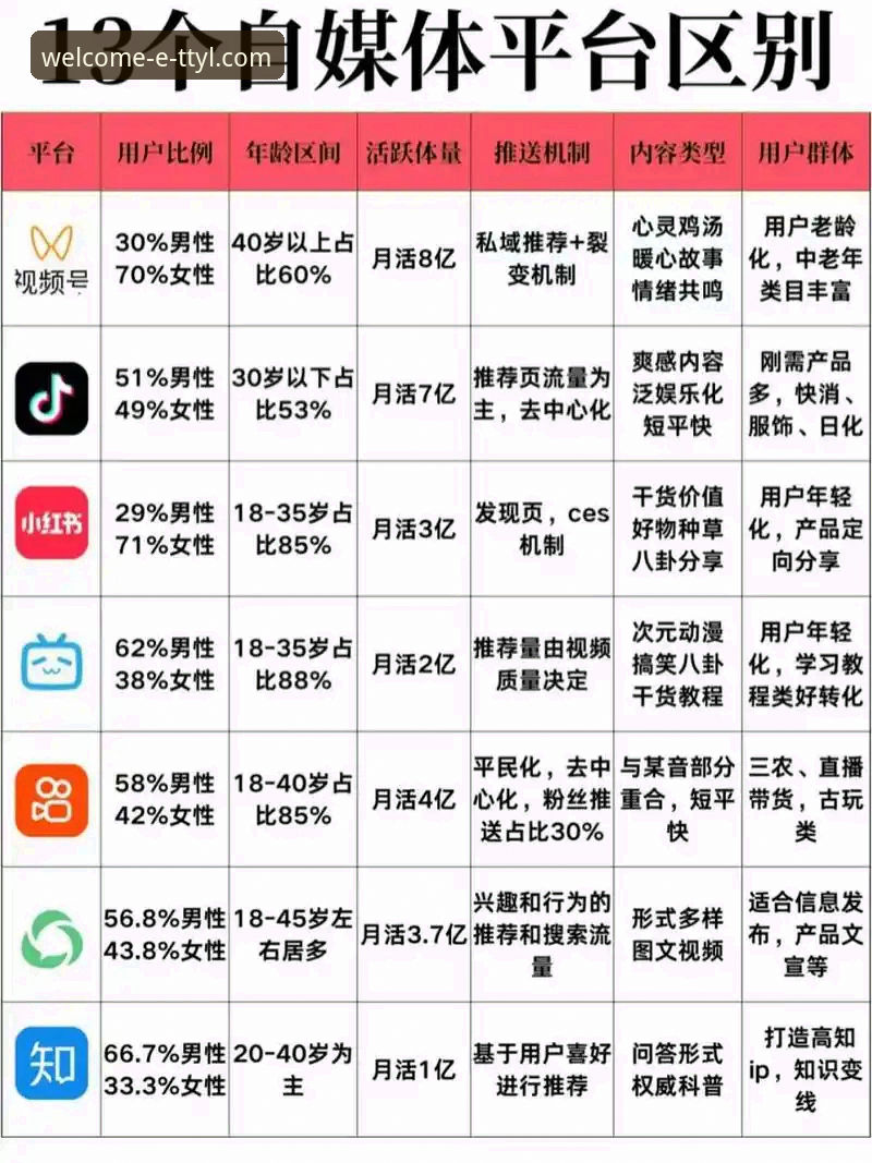 天天娱乐官网APP与网页版全面对比：新手选择哪个更合适？